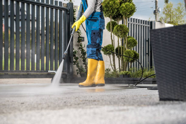 Best Roof Pressure Washing  in Fairview, CA