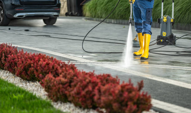 Best Affordable Power Washing  in Fairview, CA
